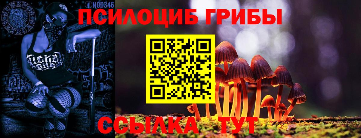 закладки  Вход с VPN  Каменск-Уральский  Галлюциногенные грибы прущие грибы 